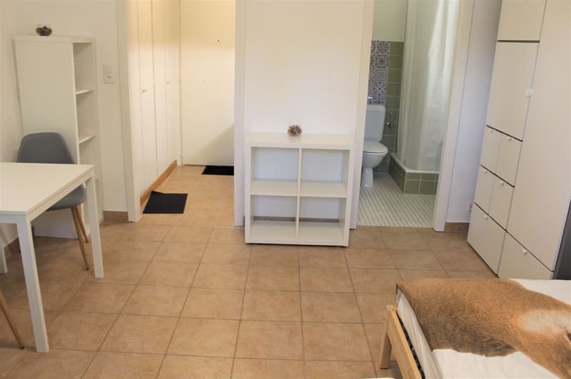 Cozy renovated studio (kitchen, shower, floor ...) - Spacious - Ideally located - Quiet location (4)