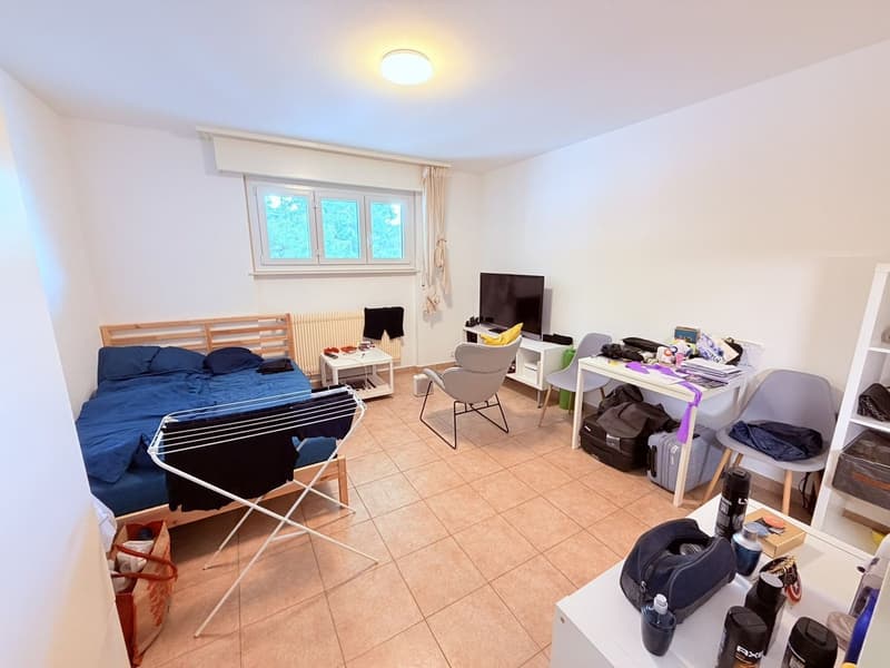 Cozy renovated studio (kitchen, shower, floor ...) - Spacious - Ideally located - Quiet location (1)