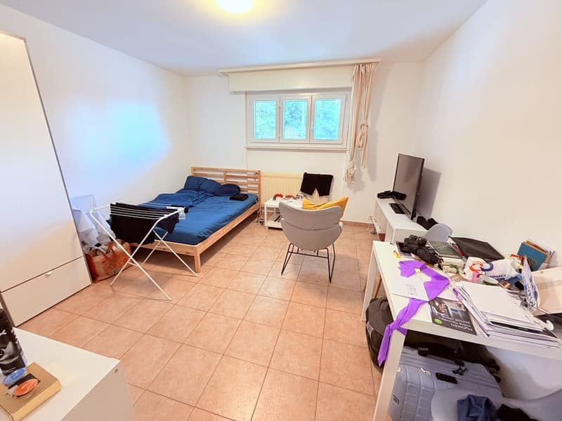 Cozy renovated studio (kitchen, shower, floor ...) - Spacious - Ideally located - Quiet location (2)