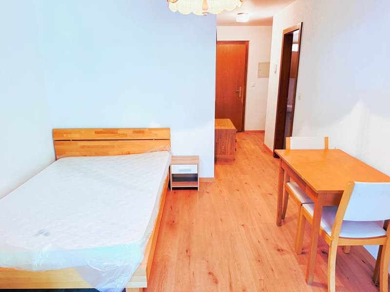 Nice 1.5 rooms renovated (floor, walls, etc.) - Ideally located in the heart of Montana - Very quiet location (3)