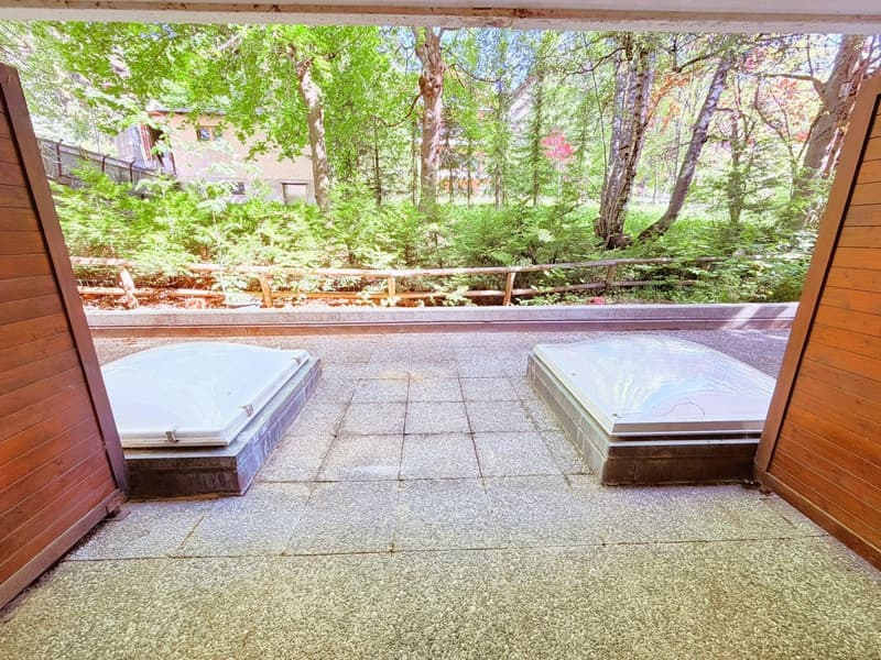 Nice 1.5 rooms renovated (floor, walls, etc.) - Ideally located in the heart of Montana - Very quiet location (9)