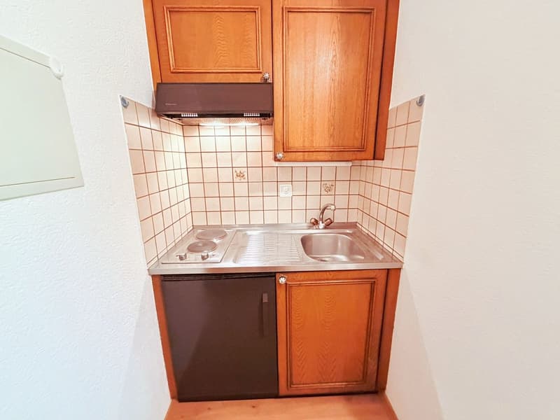 Nice 1.5 rooms renovated (floor, walls, etc.) - Ideally located in the heart of Montana - Very quiet location (7)