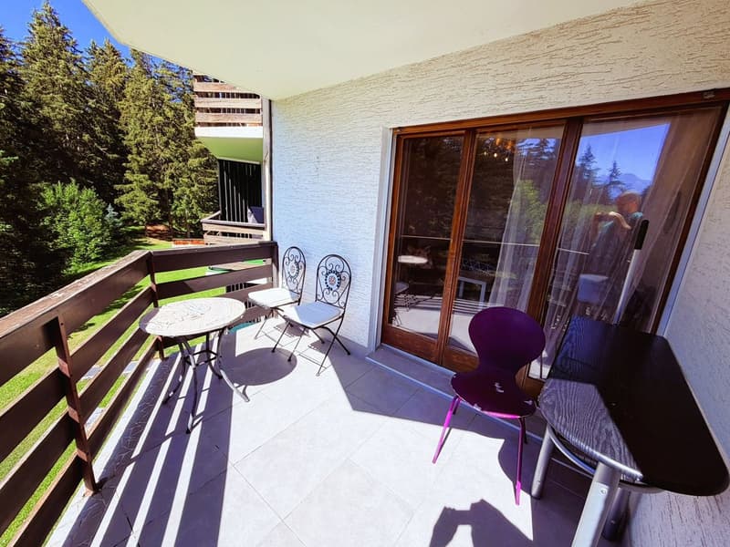Spacieux et lumineux studio de 1.5 pièces - Très bien situé - Endroit très calme - Magnifique vue (13)