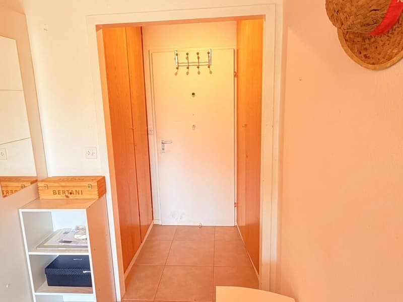 Spacieux et lumineux studio de 1.5 pièces - Très bien situé - Endroit très calme - Magnifique vue (4)