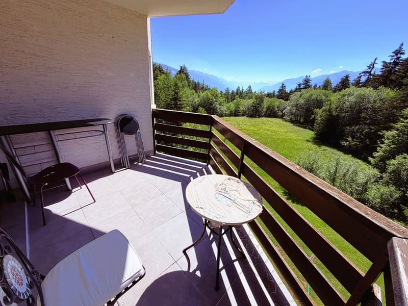 Spacieux et lumineux studio de 1.5 pièces - Très bien situé - Endroit très calme - Magnifique vue (12)