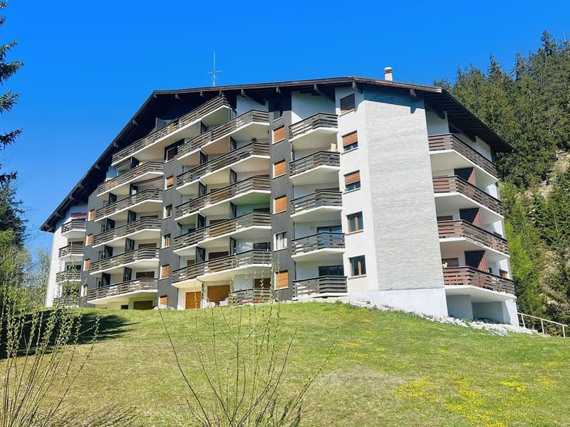 Spacieux et lumineux studio de 1.5 pièces - Très bien situé - Endroit très calme - Magnifique vue (15)