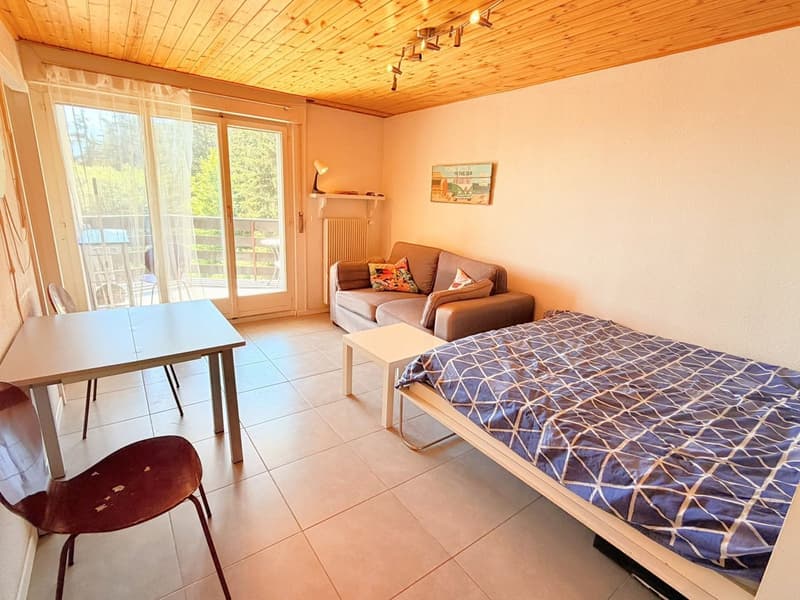 Spacieux et lumineux studio de 1.5 pièces - Très bien situé - Endroit très calme - Magnifique vue (1)