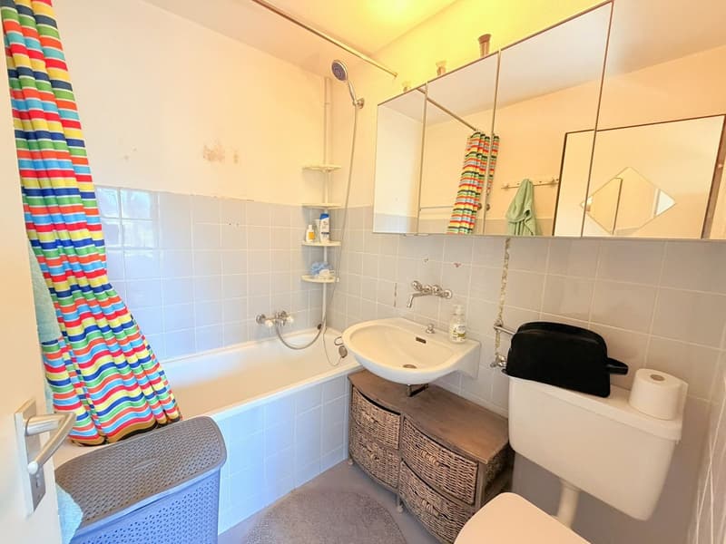 Spacieux et lumineux studio de 1.5 pièces - Très bien situé - Endroit très calme - Magnifique vue (10)