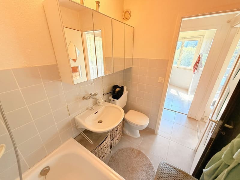 Spacieux et lumineux studio de 1.5 pièces - Très bien situé - Endroit très calme - Magnifique vue (11)