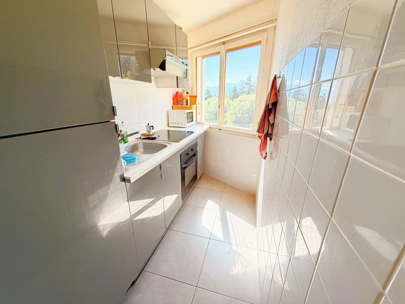 Spacieux et lumineux studio de 1.5 pièces - Très bien situé - Endroit très calme - Magnifique vue (8)