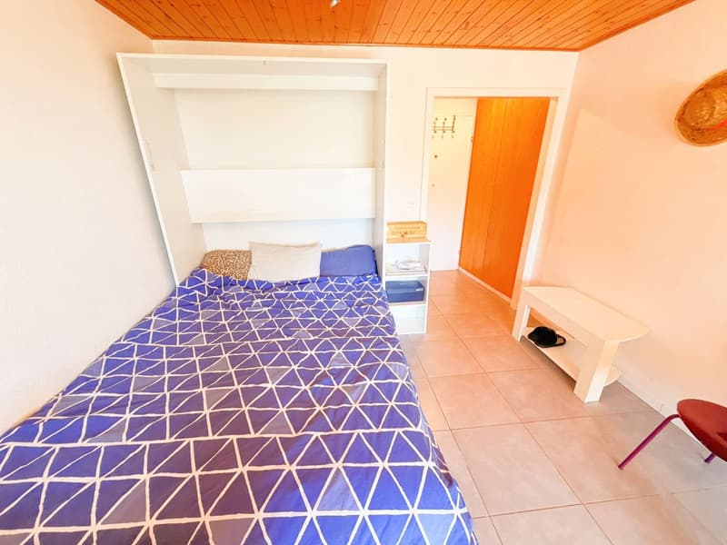 Spacieux et lumineux studio de 1.5 pièces - Très bien situé - Endroit très calme - Magnifique vue (5)