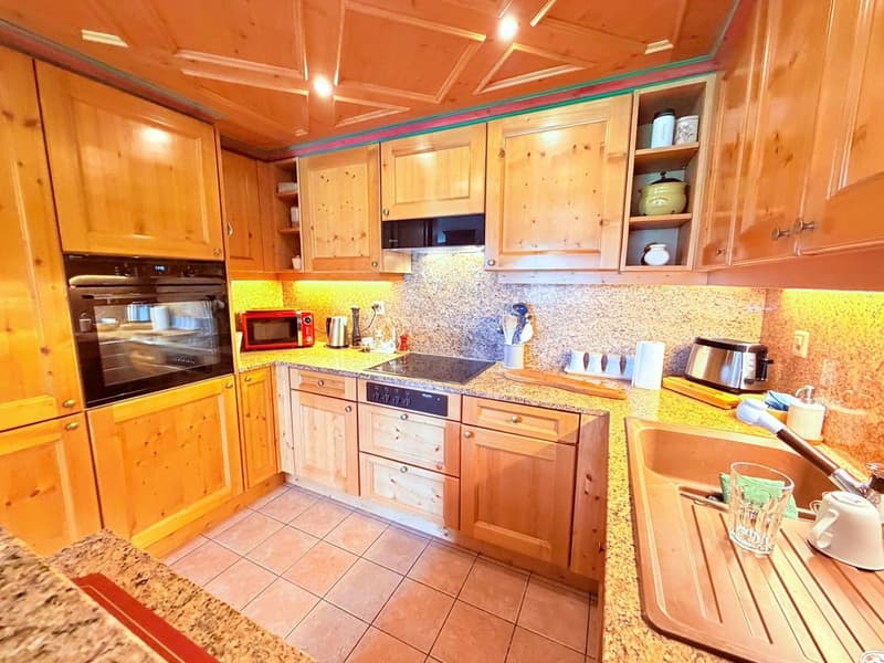 Magnificent 3.5 rooms fully renovated - Spacious and bright - Quiet location - Well located - Beautiful view (7)