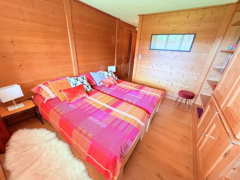 Magnificent 3.5 rooms fully renovated - Spacious and bright - Quiet location - Well located - Beautiful view (13)