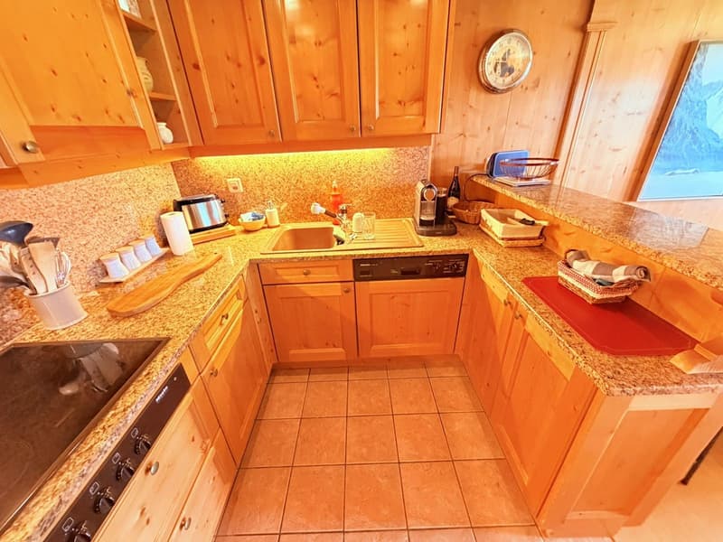 Magnificent 3.5 rooms fully renovated - Spacious and bright - Quiet location - Well located - Beautiful view (6)