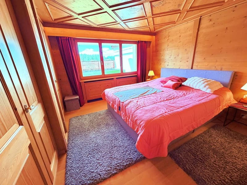 Magnificent 3.5 rooms fully renovated - Spacious and bright - Quiet location - Well located - Beautiful view (8)