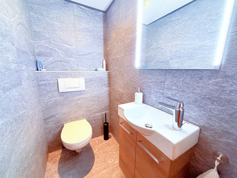 Magnificent 3.5 rooms fully renovated - Spacious and bright - Quiet location - Well located - Beautiful view (15)