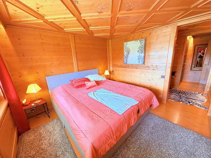Magnificent 3.5 rooms fully renovated - Spacious and bright - Quiet location - Well located - Beautiful view (9)