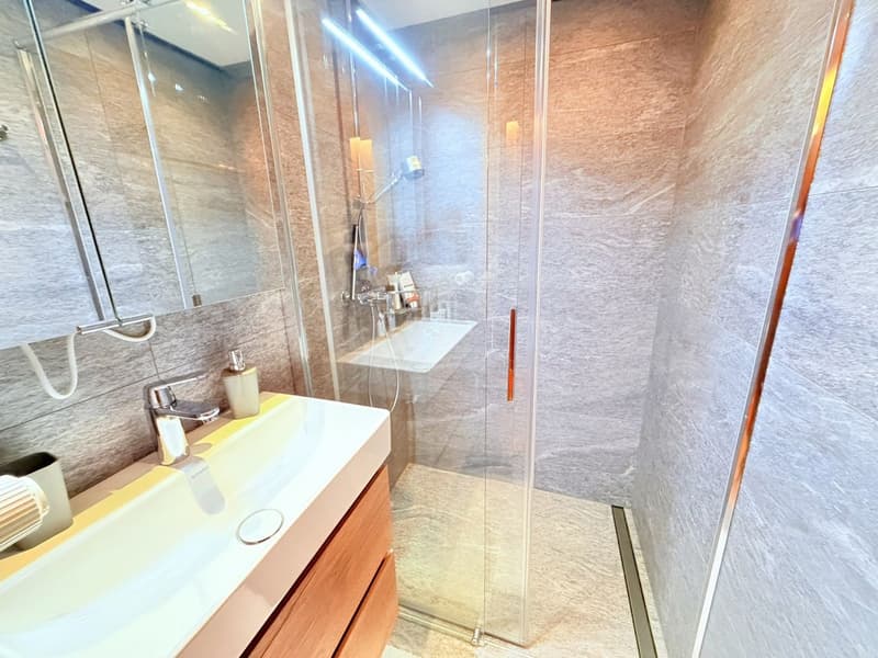Magnificent 3.5 rooms fully renovated - Spacious and bright - Quiet location - Well located - Beautiful view (14)