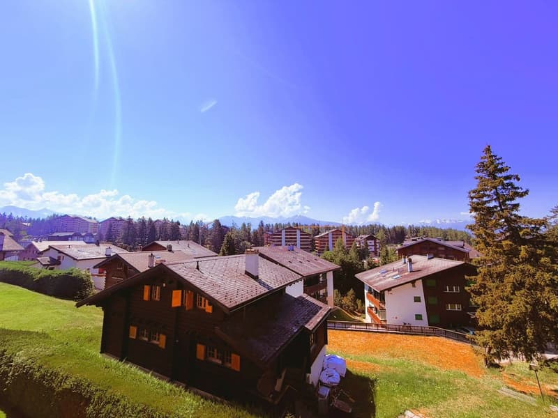 Meravigliosa 3.5 locali completamente rinnovati - Spazioso & Luminoso - Posto tranquillo - Bene situato - Bella vista (20)