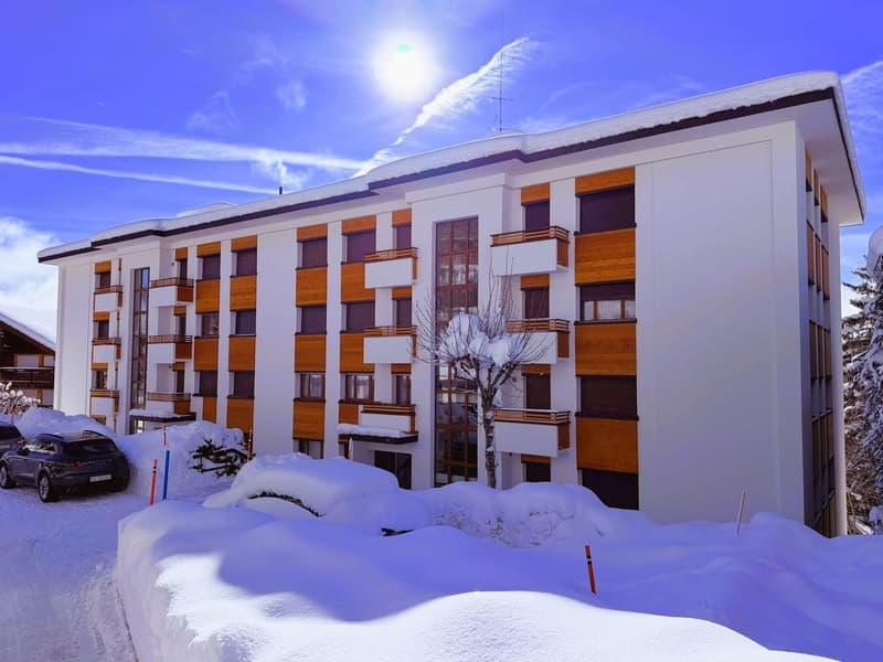 Meravigliosa 3.5 locali completamente rinnovati - Spazioso & Luminoso - Posto tranquillo - Bene situato - Bella vista (21)