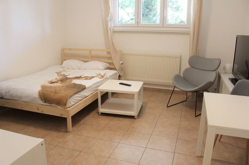 Studio accogliente rinnovato (cucina, doccia, pavimento ...) - Spazioso - Ideale posizione - Zona tranquilla (3)
