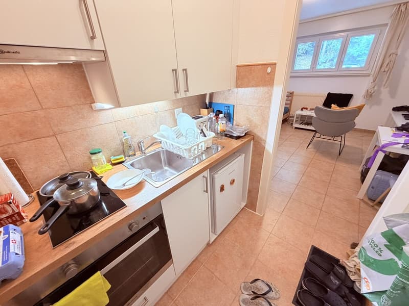 Studio accogliente rinnovato (cucina, doccia, pavimento ...) - Spazioso - Ideale posizione - Zona tranquilla (9)
