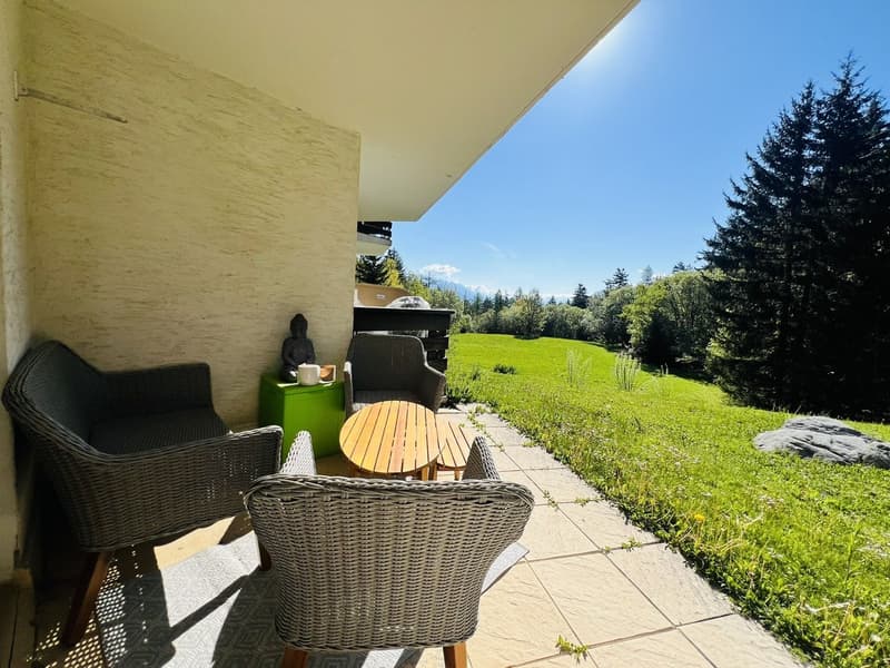 Magnifique 3.5 pièces rénové - Spacieux et lumineux - Lieu calme - Très bien placé - Belle vue (14)