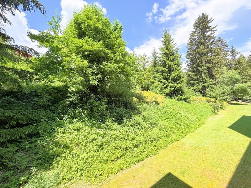 Geräumig und hell 1.5 Zimmer teilweise renoviert - Gut gelegen - Sehr ruhige Lage - Angenehme Aussicht (11)