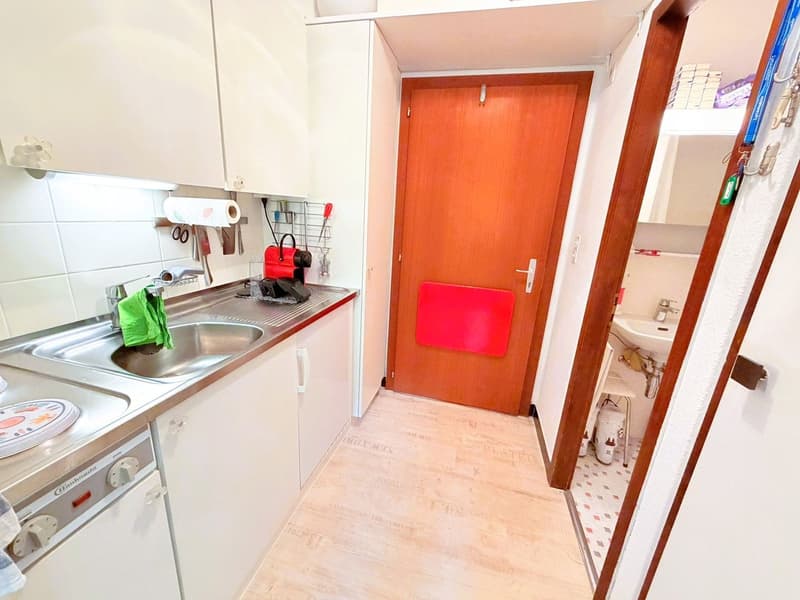 Geräumig und hell 1.5 Zimmer teilweise renoviert - Gut gelegen - Sehr ruhige Lage - Angenehme Aussicht (5)