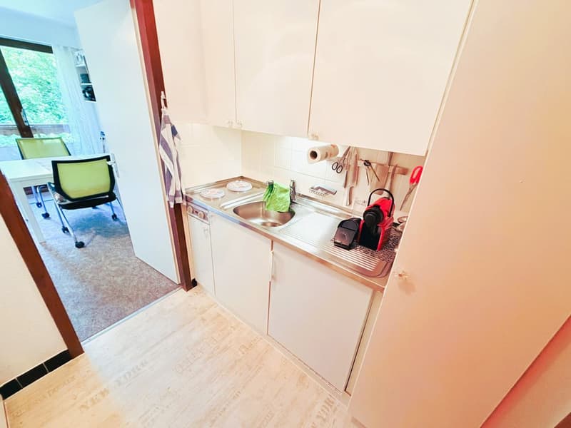 Geräumig und hell 1.5 Zimmer teilweise renoviert - Gut gelegen - Sehr ruhige Lage - Angenehme Aussicht (6)