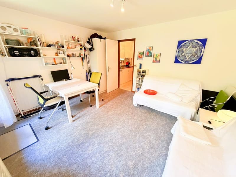 Geräumig und hell 1.5 Zimmer teilweise renoviert - Gut gelegen - Sehr ruhige Lage - Angenehme Aussicht (3)