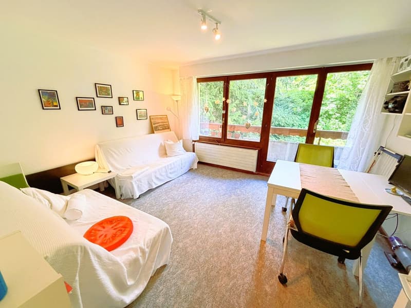 Geräumig und hell 1.5 Zimmer teilweise renoviert - Gut gelegen - Sehr ruhige Lage - Angenehme Aussicht (2)