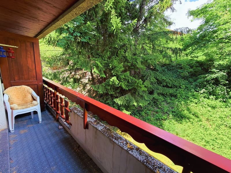 Geräumig und hell 1.5 Zimmer teilweise renoviert - Gut gelegen - Sehr ruhige Lage - Angenehme Aussicht (10)