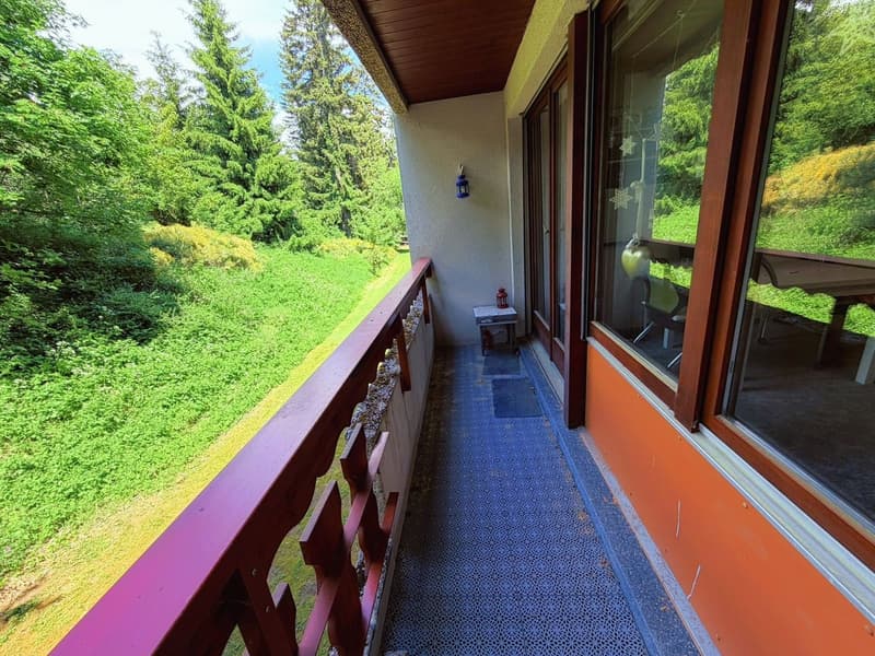 Geräumig und hell 1.5 Zimmer teilweise renoviert - Gut gelegen - Sehr ruhige Lage - Angenehme Aussicht (9)