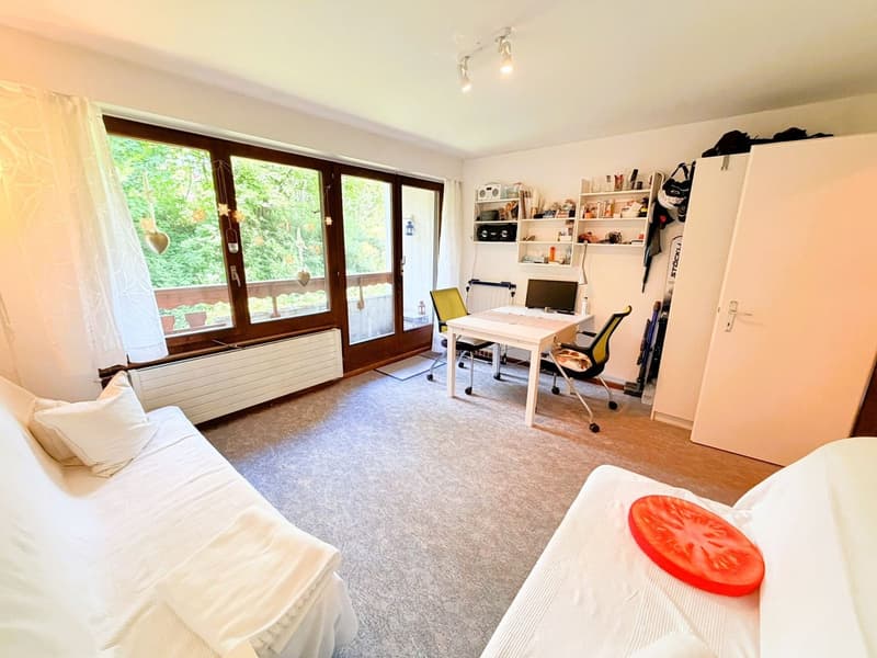 Geräumig und hell 1.5 Zimmer teilweise renoviert - Gut gelegen - Sehr ruhige Lage - Angenehme Aussicht (1)