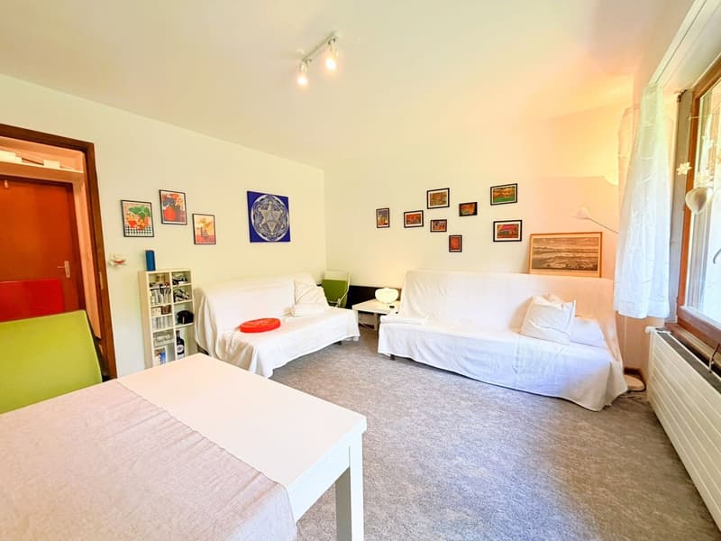 Geräumig und hell 1.5 Zimmer teilweise renoviert - Gut gelegen - Sehr ruhige Lage - Angenehme Aussicht (4)
