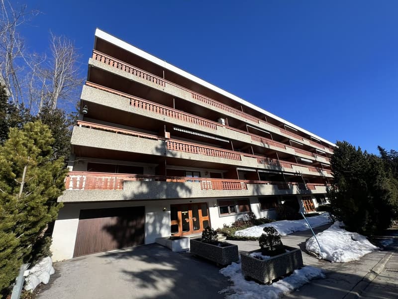 Geräumig und hell 1.5 Zimmer teilweise renoviert - Gut gelegen - Sehr ruhige Lage - Angenehme Aussicht (12)