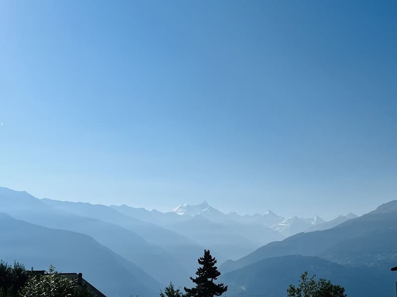 À LA SAISON : Spacieux et lumineux 2.5 pces rénové - Magnifique vue - Lieu calme - Bien situé (13)