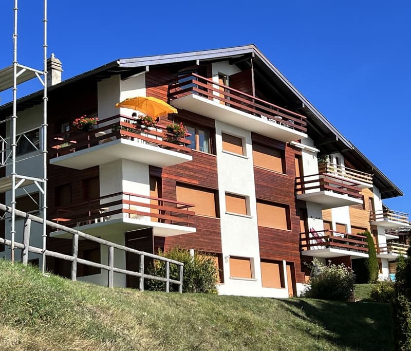ATTIQUE - Spacieux et lumineux 2.5 pièces rénové – Extraordinaire vue – Lieu calme (10)