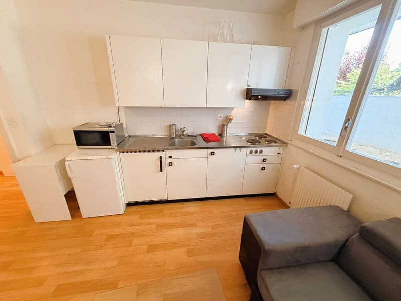 Très spacieux et très lumineux 1.5 pièces - Idéalement situé - Lieu calme (8)