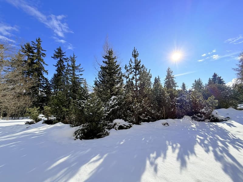 Superbe 4.5 pces spacieux & lumineux - Haut standing - Espace Wellness - Bien situé (ski in/ski out) (21)