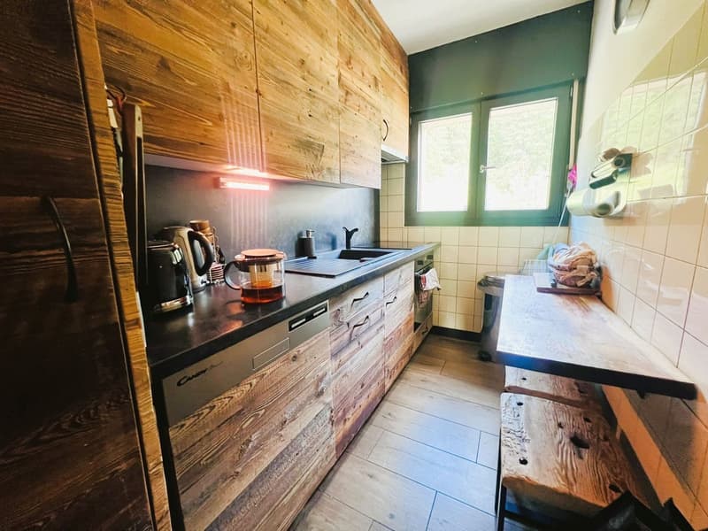 Magnifique 4.5 pces rénové – Spacieux & lumineux – Vue panoramique extraordinaire – Très bien situé (6)