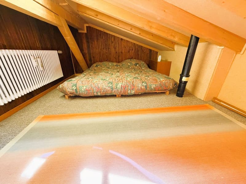 ATTIQUE ! Spacieux et lumineux 1.5 pièces rénové - Extraordinaire vue - Bien Situé - Lieu très calme (15)