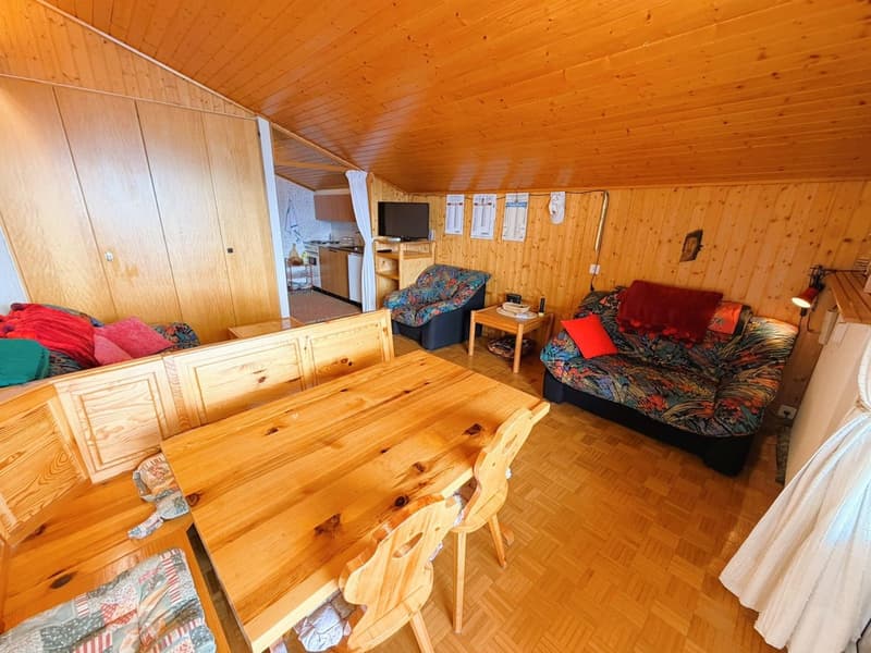 ATTIQUE ! Spacieux et lumineux 1.5 pièces rénové - Extraordinaire vue - Bien Situé - Lieu très calme (3)
