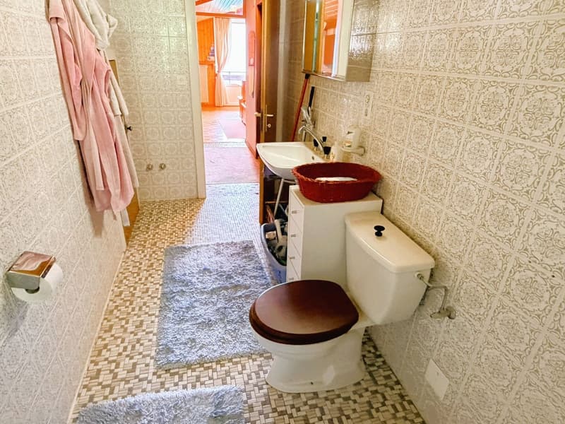 ATTIQUE ! Spacieux et lumineux 1.5 pièces rénové - Extraordinaire vue - Bien Situé - Lieu très calme (10)