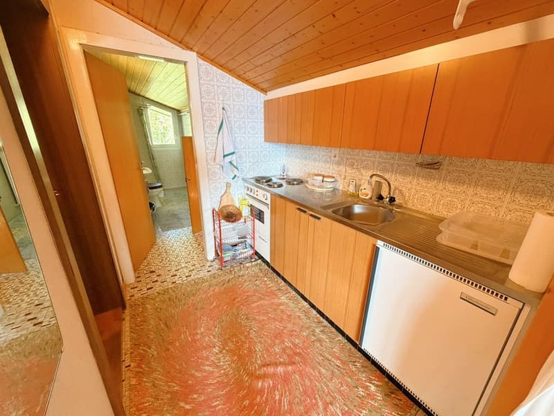 ATTIQUE ! Spacieux et lumineux 1.5 pièces rénové - Extraordinaire vue - Bien Situé - Lieu très calme (8)
