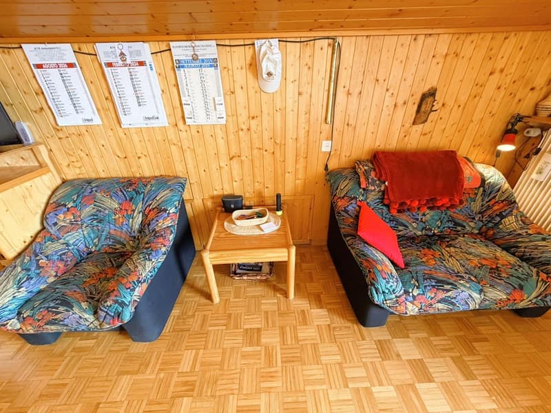 ATTIQUE ! Spacieux et lumineux 1.5 pièces rénové - Extraordinaire vue - Bien Situé - Lieu très calme (5)