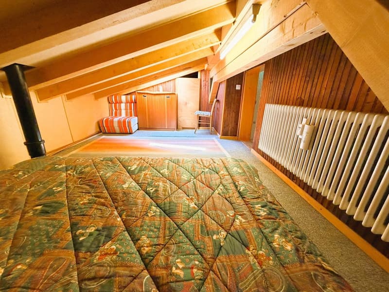 ATTIQUE ! Spacieux et lumineux 1.5 pièces rénové - Extraordinaire vue - Bien Situé - Lieu très calme (16)