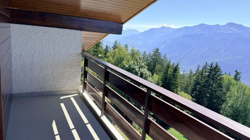 ATTIQUE ! Spacieux et lumineux 1.5 pièces rénové - Extraordinaire vue - Bien Situé - Lieu très calme (12)