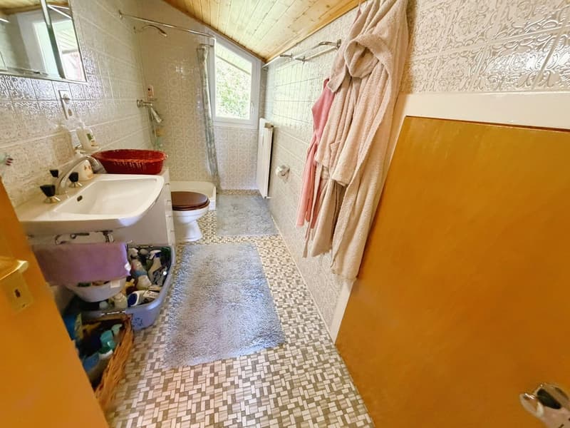 ATTIQUE ! Spacieux et lumineux 1.5 pièces rénové - Extraordinaire vue - Bien Situé - Lieu très calme (9)